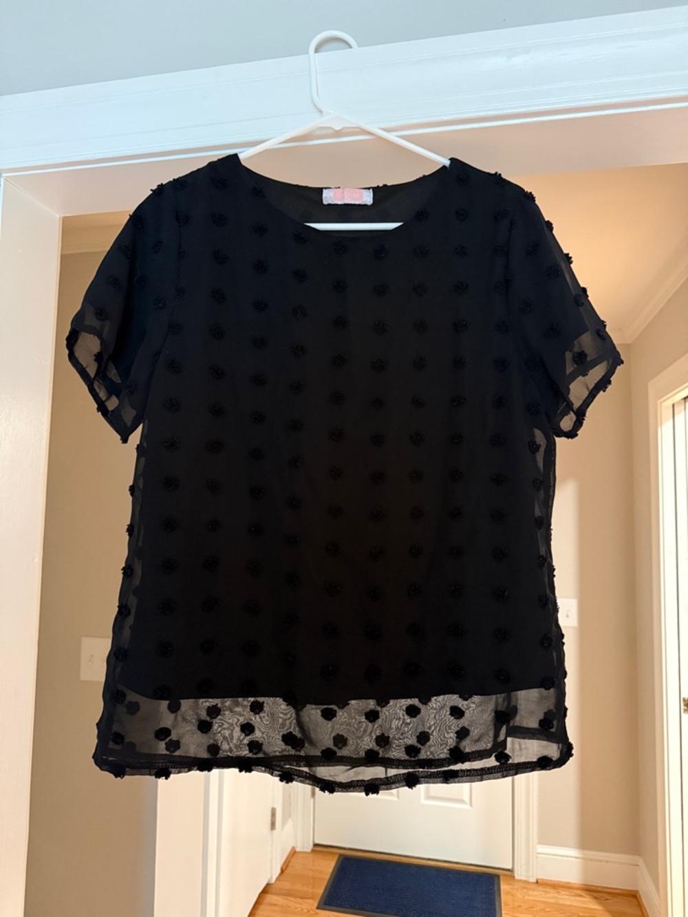 Amazon Black Short Sleeve Dot-Embroidered Sheer Blouse